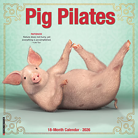 2026 Willow Creek Press Animals Monthly Wall Calendar, 12" x 12", Pig Pilates, January To December, 52389