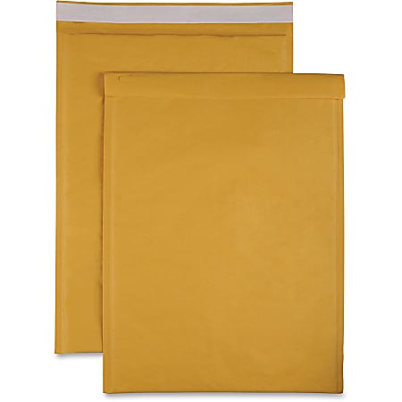 Sparco Size 6 Bubble Cushioned Mailers - Bubble