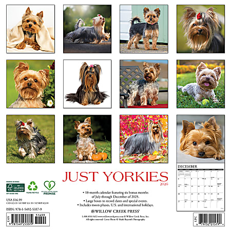 2026 Willow Creek Press Animals Monthly Wall Calendar 12 x 12 Yorkies ...