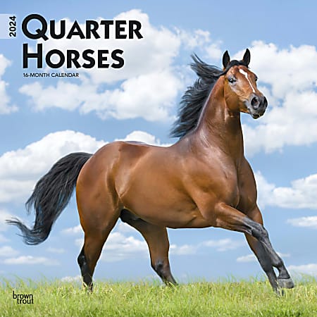 2024 BrownTrout Monthly Square Wall Calendar, 12" x 12", Quarter Horses, January to December