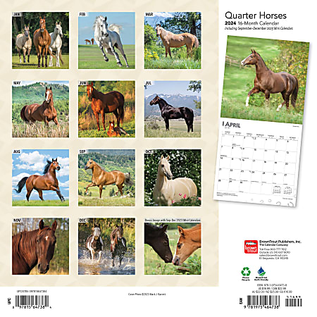 Horses Calendar 2024 Square Horses Wall Calendar 16 Month