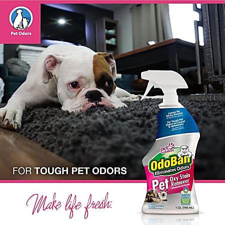 OdoBan Pet Oxy Stain Remover Spray 32 Oz ODP Business Solutions