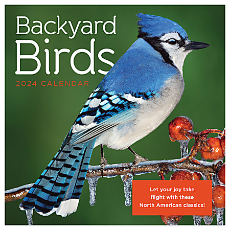 2024 TF Publishing Animals Monthly Mini Wall Calendar, 7” x 7”, Birds, January To December