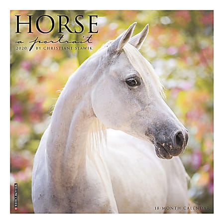 Willow Creek Press Animals Monthly Wall Calendar, 12" x 12", Horse: A Portrait, January To December 2020