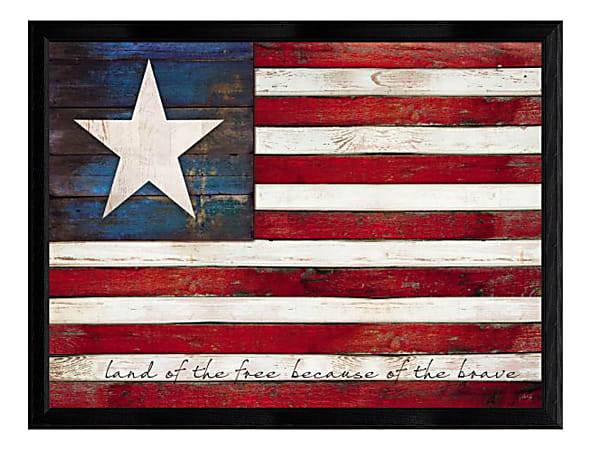 Timeless Frames® Land Of The Free Framed Art, 18" x 24"