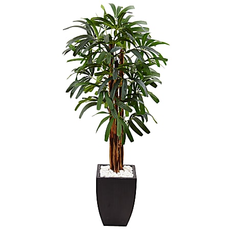 Nearly Natural Raphis Palm 66" Artificial Tree With