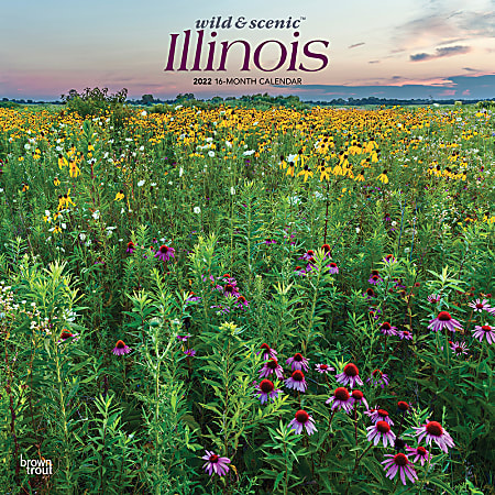 Brown Trout Monthly Regional Wall Calendar, 24" x 12", Wild & Scenic Illinois, January to December 2022, 9781975438869