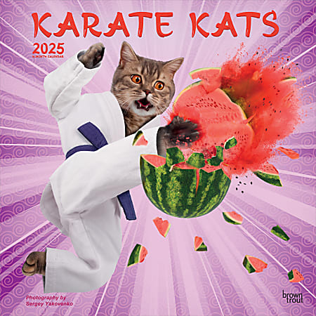 2025 BrownTrout Karate Cats OFFICIAL Monthly Plastic-Free Square Wall Calendar, 12" x 12", Fun and Humor, January to December 2025, 9781975479831