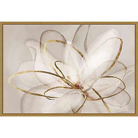 Amanti Art Transparent Beauty III Floral by Eva Watts Framed Canvas Wall Art Print, 16”H x 23”W, Gold