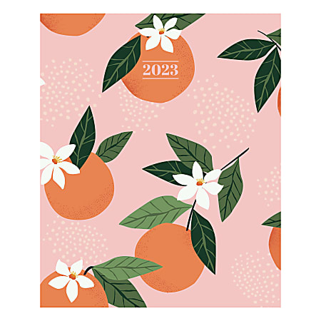 TF Publishing Large Monthly Planner, 9" x 11", Orange, January To December 2023