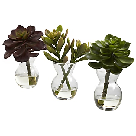 Nearly Natural 5-1/2"H Succulent Arrangements With Glass Vases, Green, Set Of 3 Arrangements