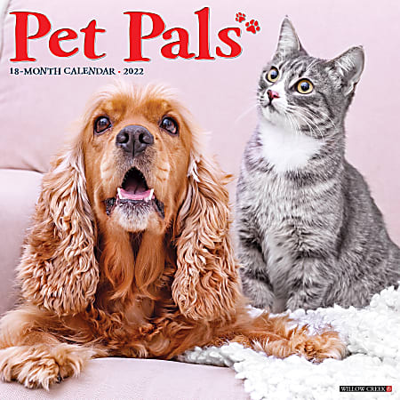 Willow Creek Press Animals Monthly Wall Calendar, 12" x 12", Pet Pals, January to December 2022, 22818