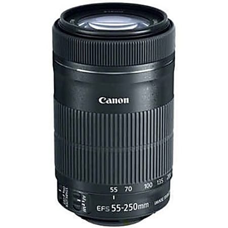 Canon - 55 mm to 250 mmf/5.6 - Telephoto Zoom Lens  - 8546B002