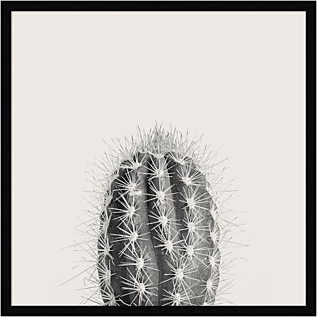 Amanti Art Haze Cactus Succulent Tall by The Creative Bunch Wood Framed Wall Art Print, 25”H x 25”W, Black