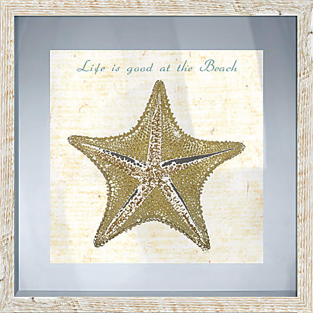 PTM Images Framed Art, Starfish II, 17 1/2"H x 17 1/2"W