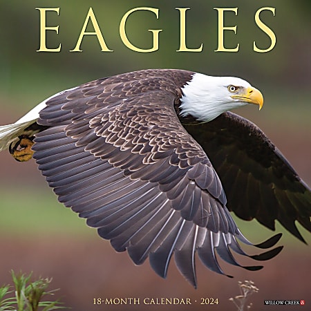 2024 Willow Creek Press Scenic Monthly Wall Calendar, 12" x 12", Eagles, January To December