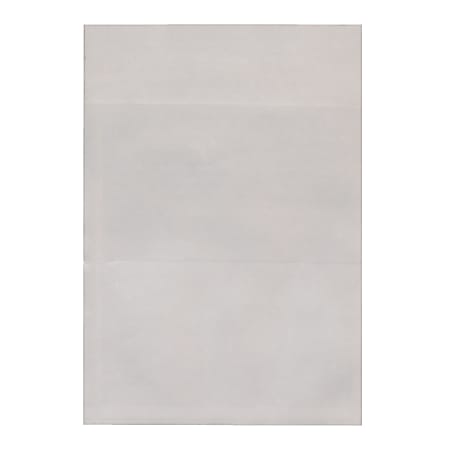 Ashley Library Pockets, 3 1/2" x 5", Clear, Pack Of 125