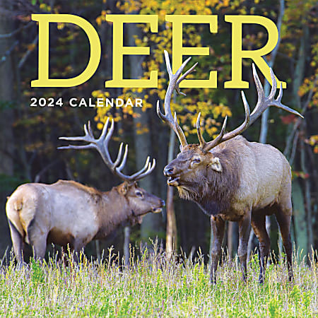 2024 TF Publishing Animal Wall Calendar, 12" x 12", Deer, January To December