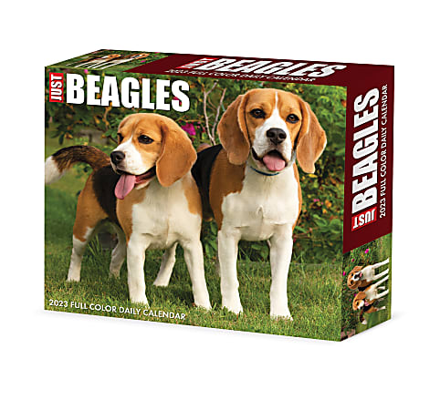 Willow Creek Press Page-A-Day Daily Desk Calendar, 6-1/4" x 5-1/2", Beagles, January To December 2023