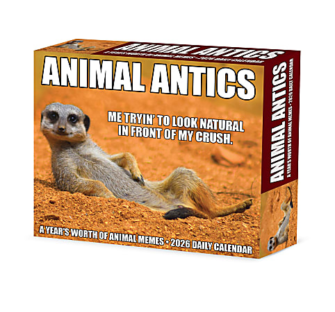 2026 Willow Creek Press Page-A-Day Daily Desk Calendar, 6-1/4" x 5-1/2", Animal Antics, January To December, 55137
