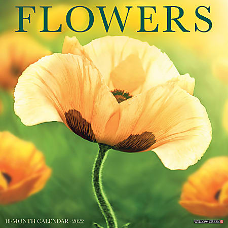 Willow Creek Press Scenic Monthly Wall Calendar, 12" x 12", Flowers, January To December 2022