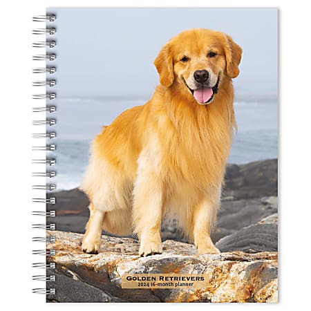 2023-2024 BrownTrout 16-Month Weekly/Monthly Engagement Planner, 7-3/4" x 7-3/16", Golden Retrievers, September To December