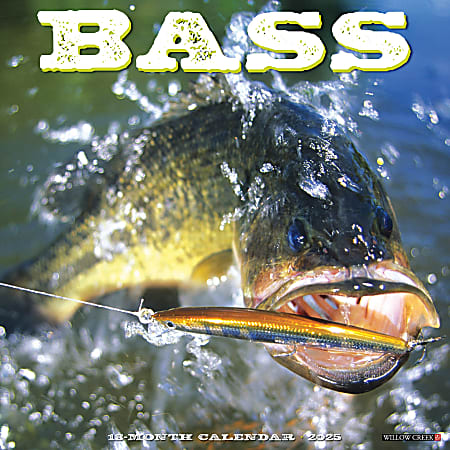 2025 Willow Creek Press Animals Wall Calendar, 12" x 12", Bass Fishing, January To December, 41581