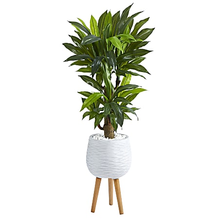 Nearly Natural Corn Stalk Dracaena 46”H Artificial Plant With Stand Planter, 46”H x 12”W x 12”D, Green/White