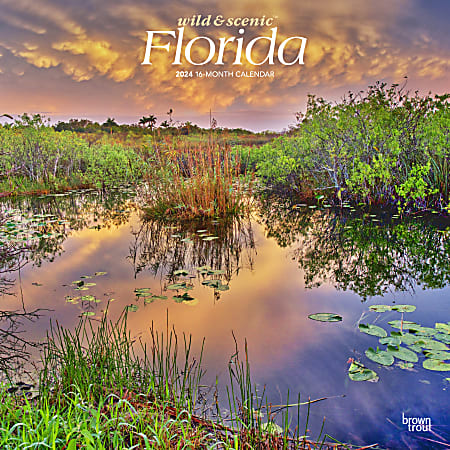 2024 BrownTrout Monthly Square Wall Calendar, 12" x 12", Florida Wild & Scenic, January to December