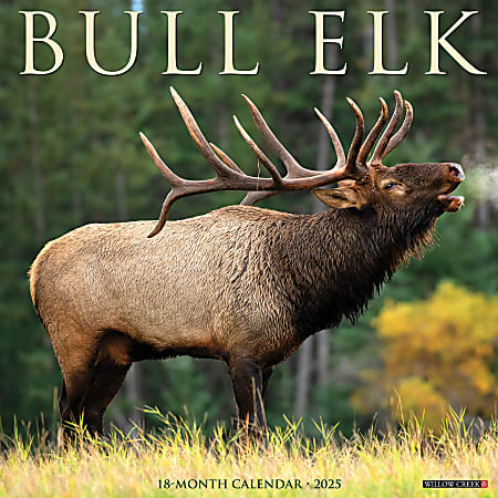 2025 Willow Creek Press Animals Monthly Wall Calendar, 12” x 12”, Bull Elk, January To December, 42007