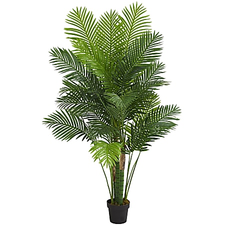 Nearly Natural Hawaii Palm 72”H Artificial Tree, 72”H