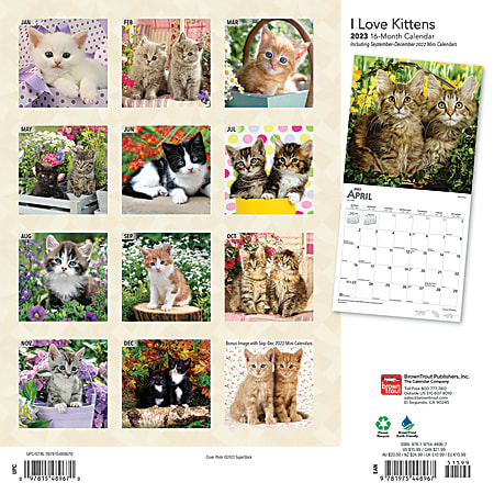 Brown Trout Animals Monthly Wall Calendar 12 x 12 I Love Kittens ...