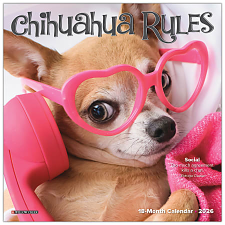 2026 Willow Creek Press Monthly Mini Wall Calendar, 7" x 7", Chihuahua Rules, January To December, 53508