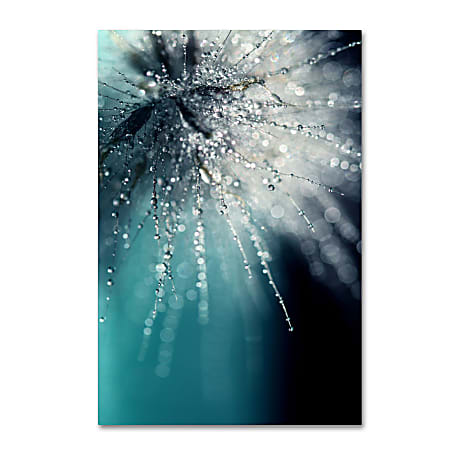 Trademark Global Morning Sonata Gallery-Wrapped Canvas Print By Beata Czyzowska Young, 22"H x 32"W