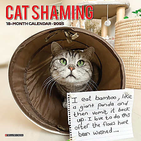 2025 Willow Creek Press Humor & Comics Monthly Wall Calendar, 12” x 12”, Cat Shaming, January To December, 42205