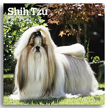 2025 BrownTrout Shih Tzu Monthly Plastic-Free Square Wall Calendar, 12" x 12", Dog Breeds, January to December 2025, 9781975477745