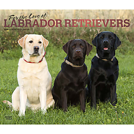 2024 BrownTrout Monthly Deluxe Wall Calendar, 14" x 12", For the Love of Labrador Retrievers, January to December