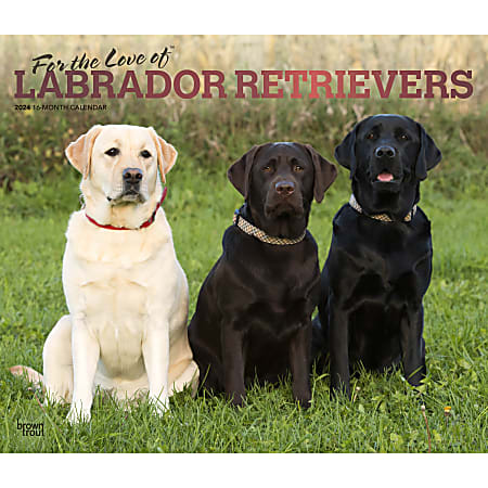 2024 BrownTrout Monthly Deluxe Wall Calendar 14 x 12 For the Love of  Labrador Retrievers January to December - Office Depot