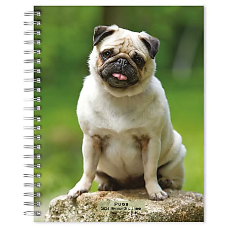 2023-2024 BrownTrout 16-Month Weekly/Monthly Engagement Planner, 7-3/4" x 7-3/16", Pugs, September To December