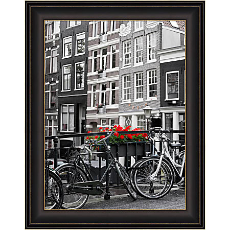 Amanti Art Picture Frame, 29" x 23", Matted