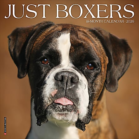 2026 Willow Creek Press Animals Monthly Wall Calendar, 12" x 12", Boxers, January To December, 50378