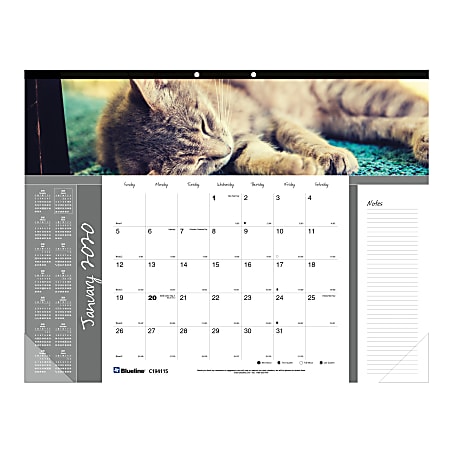 Blueline® Furry Collection Monthly Desk Pad Calendar, 22" x 17", Different Cat Images each month, January to December 2020