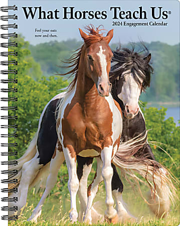 2024 Willow Creek Press Weekly Engagement Planner, 6-1/2" x 8-1/2", What Horses Teach Us, January To December