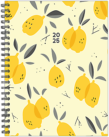Willow Creek Press Softcover Weekly/Monthly Planner, 6-1/2” x 8-1/2”, Citrus Grove, January To December, 48672