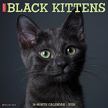 2026 Willow Creek Press Animals Monthly Wall Calendar, 12" x 12", Black Kittens, January To December, 50293
