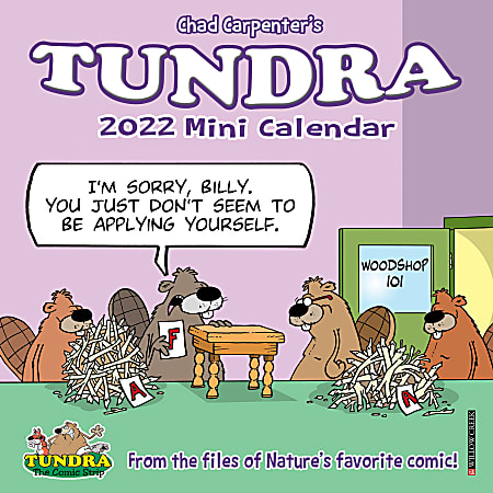 Willow Creek Press Monthly Mini Wall Calendar, 7" x 7", Tundra, January To December 2022