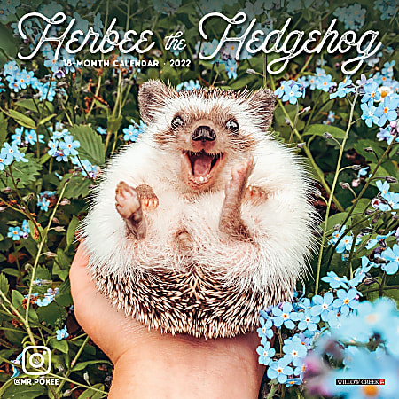 Willow Creek Press Monthly Mini Wall Calendar, 7" x 7", Herbee Hedgehog, January To December 2022