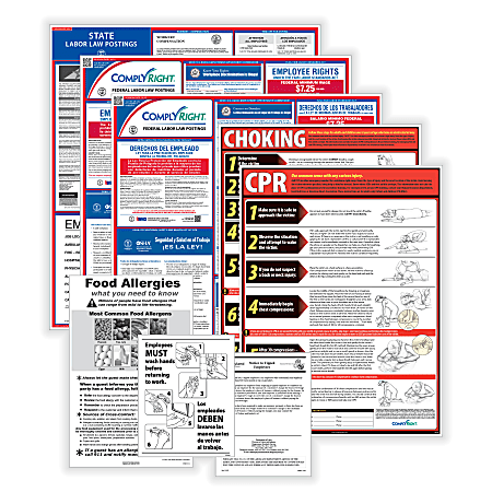 ComplyRight™ Restaurant Federal (Bilingual) And State (English) Labor Law 1-Year Poster Service, Puerto Rico