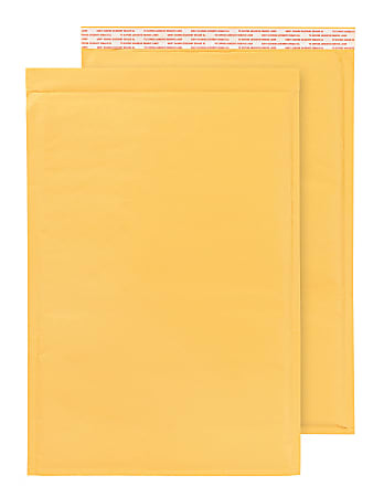 BUBBLE WRAP® Brand Paper Bubble Mailer