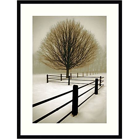 Amanti Art Solitude by David Lorenz Winston Wood Framed Wall Art Print, 25”W x 33”H, Black